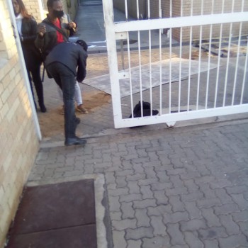 WhatsApp Image 2022-02-13 at 10.56.35 AM